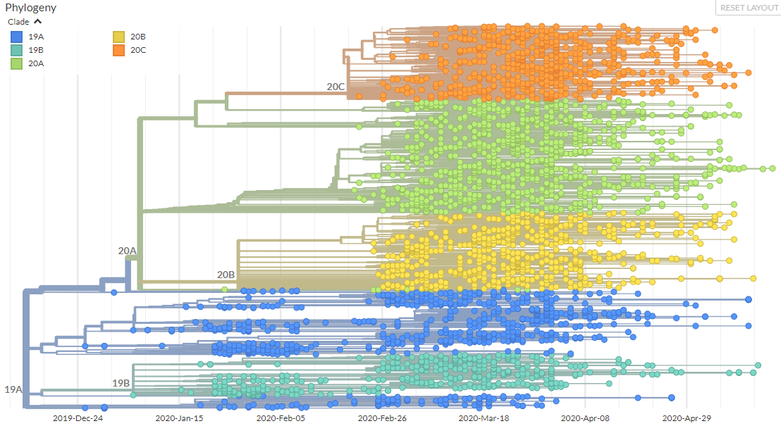 nextstrain-global-ncov-clades